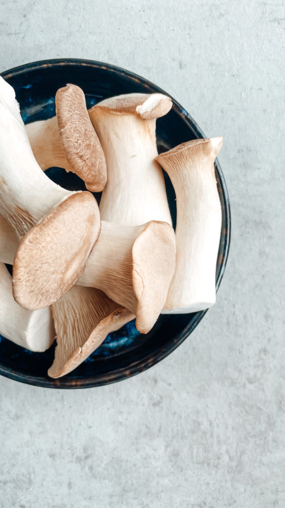 Kräuterseitlinge king Oyster mushrooms